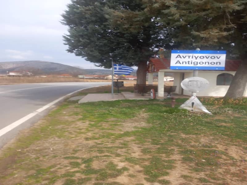 Αντιγονεία (Αντίγονο)